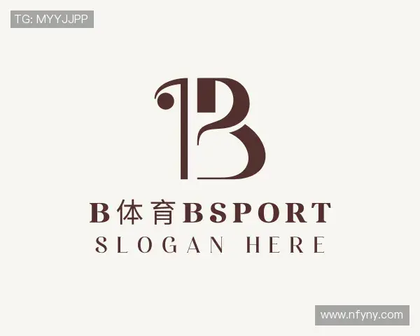关于b体育bsport